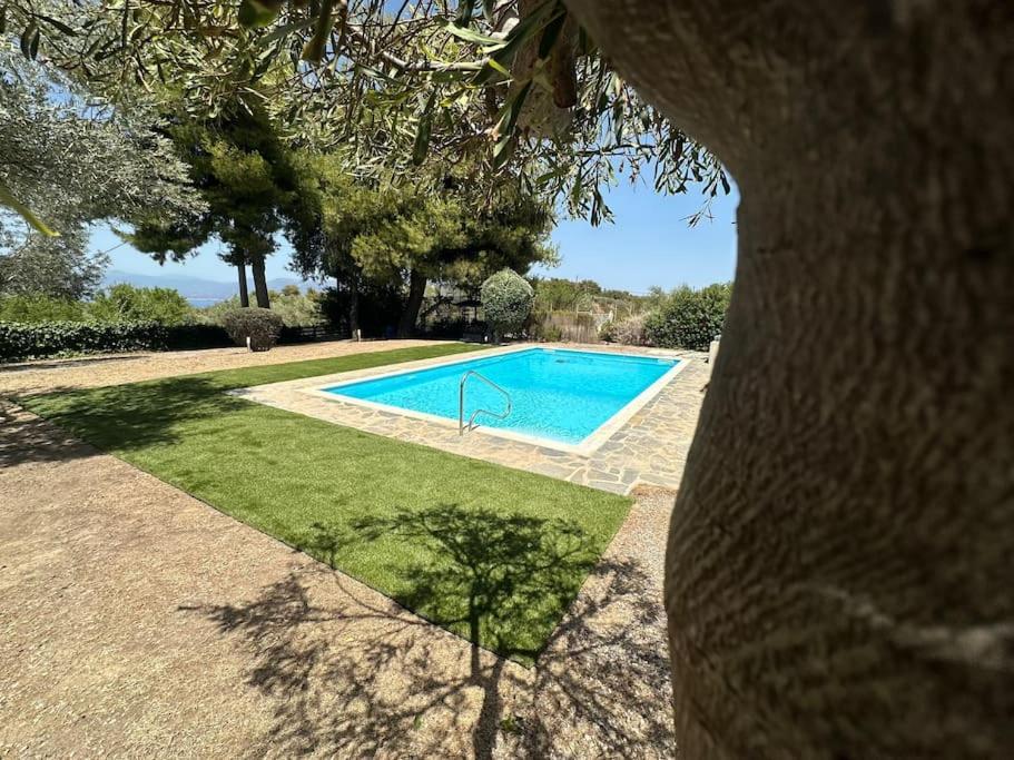 Villa Terrina Agioi Apostoloi  Bagian luar foto